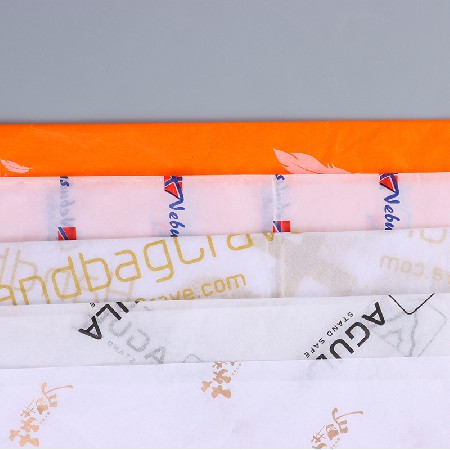 YZYL010